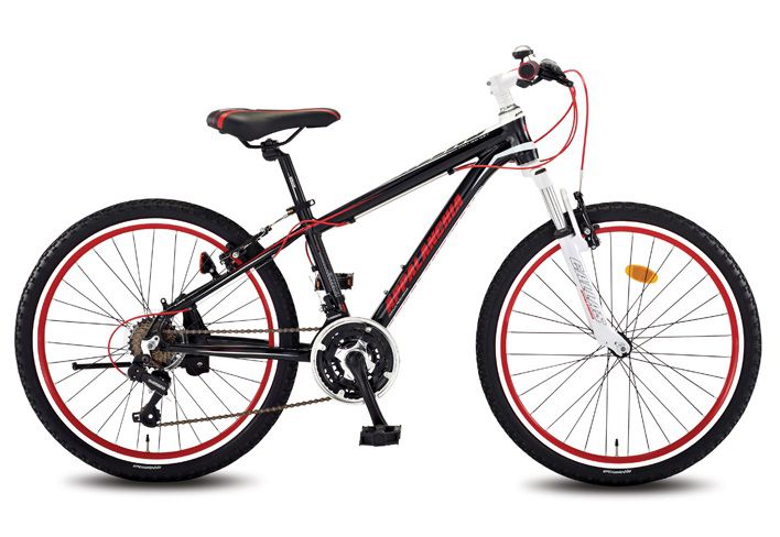 24 칼라스 주니어